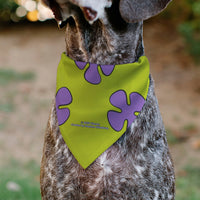 Pet Bandana - Patrick Star Shorts Flower Icon Green/Lavender