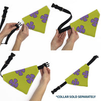 Pet Bandana - Patrick Star Shorts Flower Icon Green/Lavender