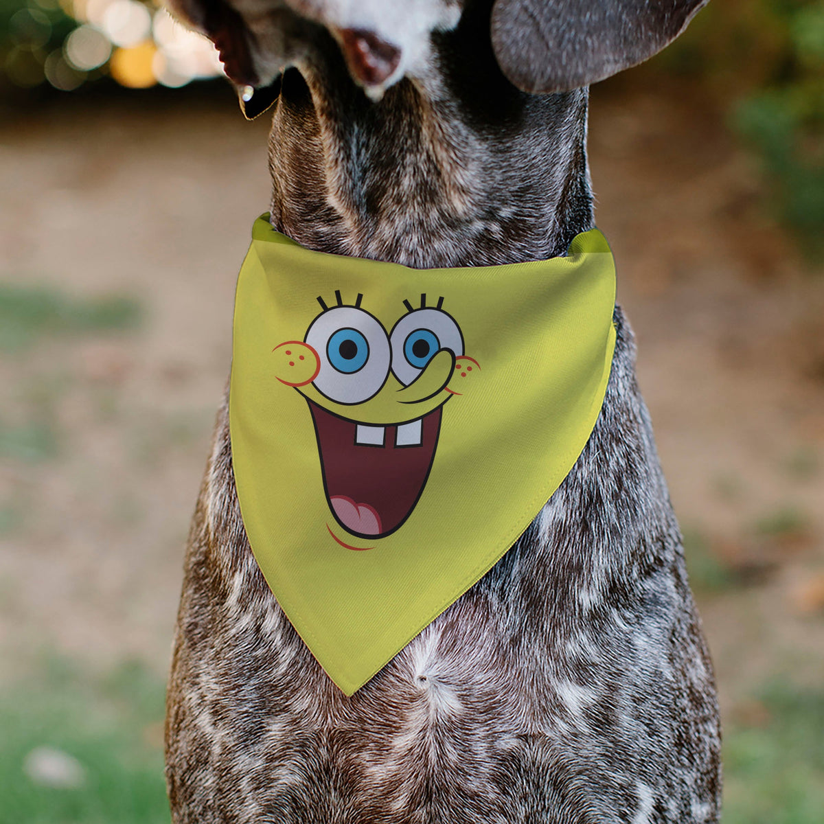 Pet Bandana - SpongeBob SquarePants Excited Smile Expression Yellow