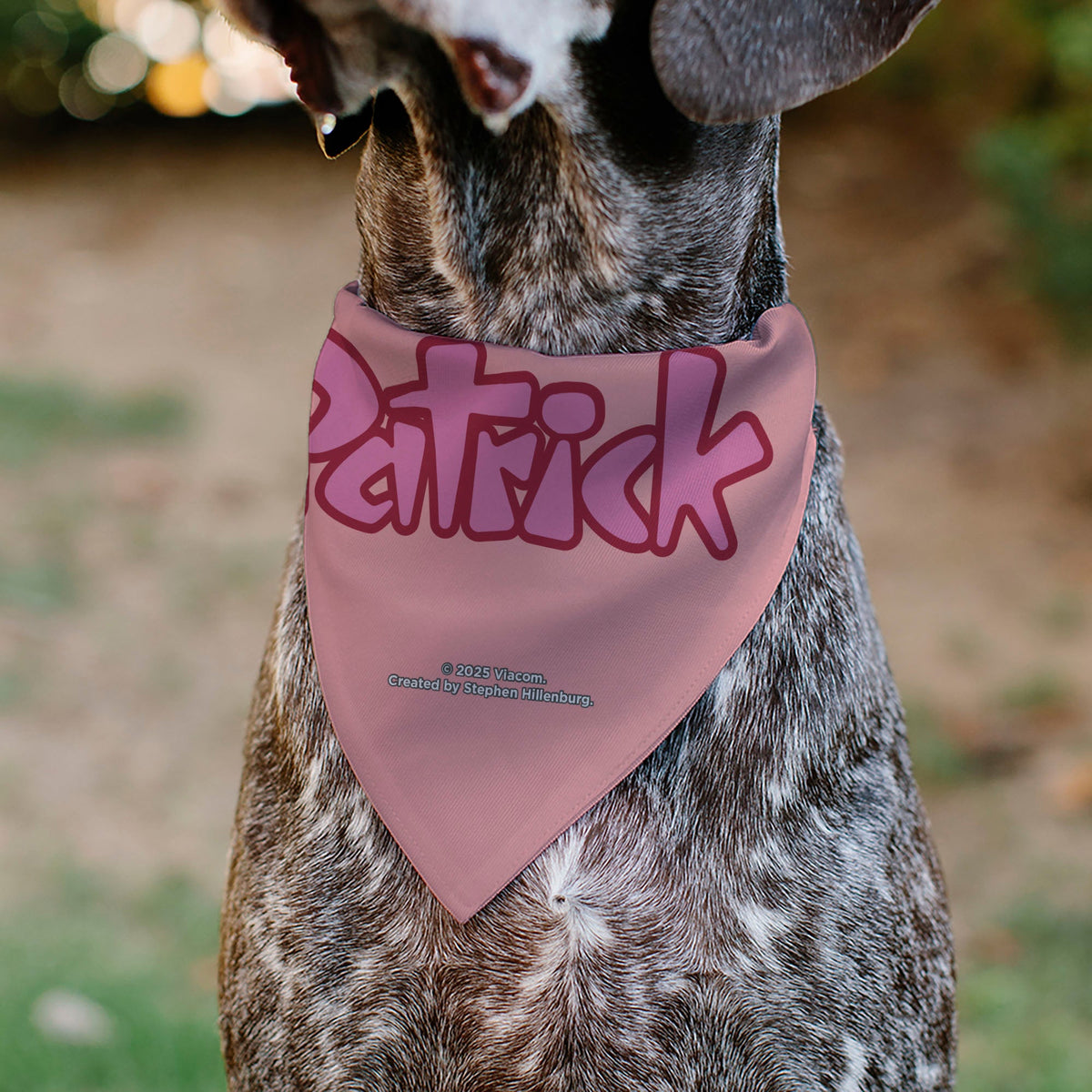Pet Bandana - PATRICK Star Smiling Face Close-Up and Text Pinks/Reds
