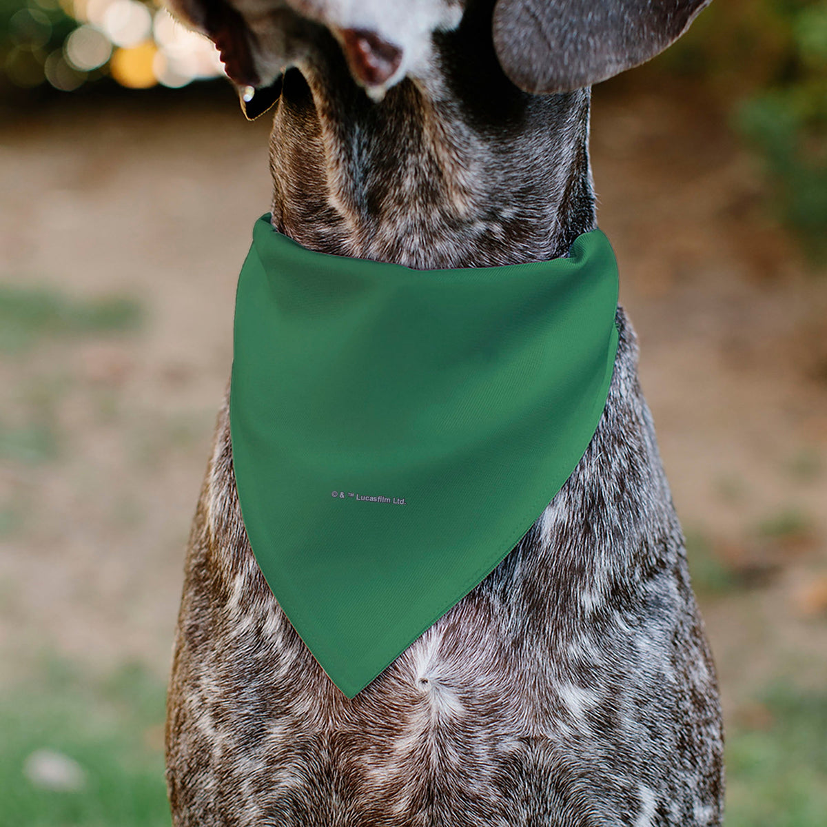 Pet Bandana - Star Wars Grogu I'M ALL EARS Pose Green