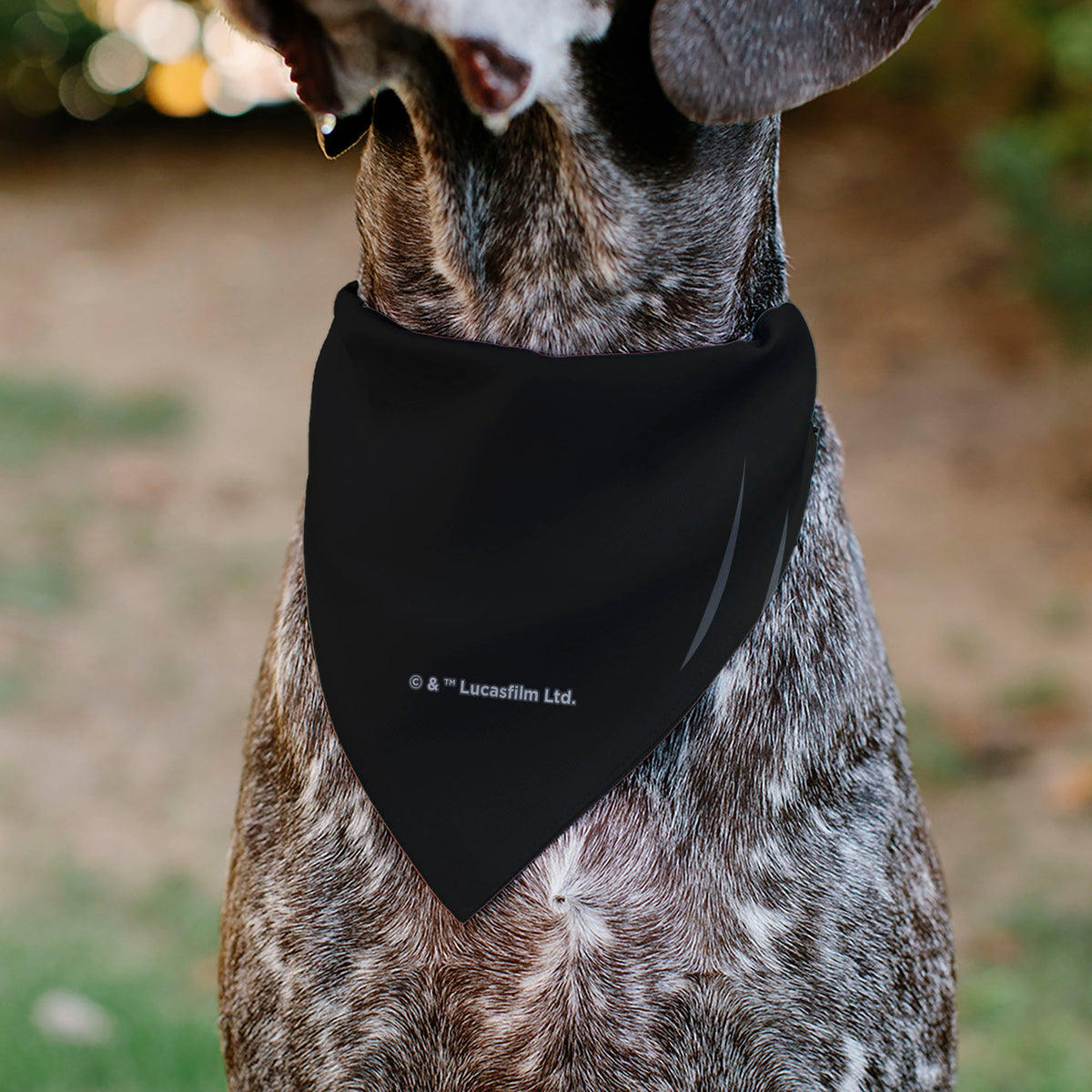 Pet Bandana - Star Wars Darth Vader Character Close-Up Black