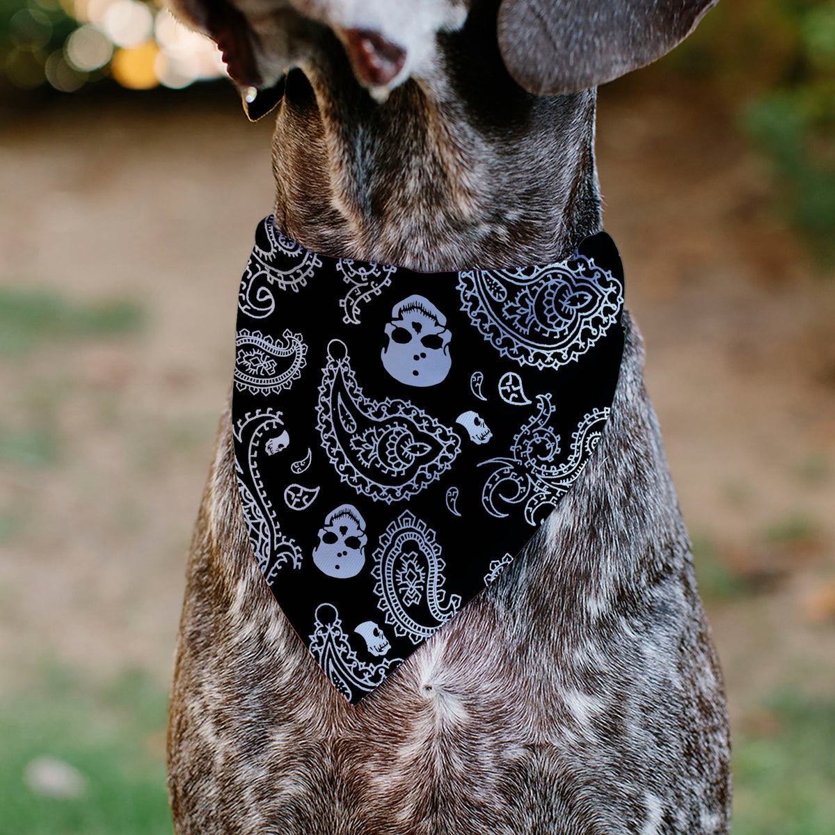 Pet Bandana - Bandana/Skulls Black/White