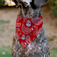Pet Bandana - Bandana/Skulls Red/White