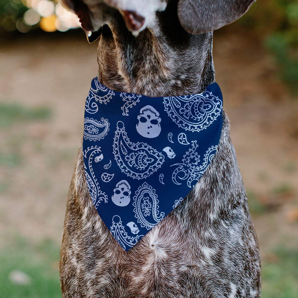 Pet Bandana - Bandana/Skulls Royal/White