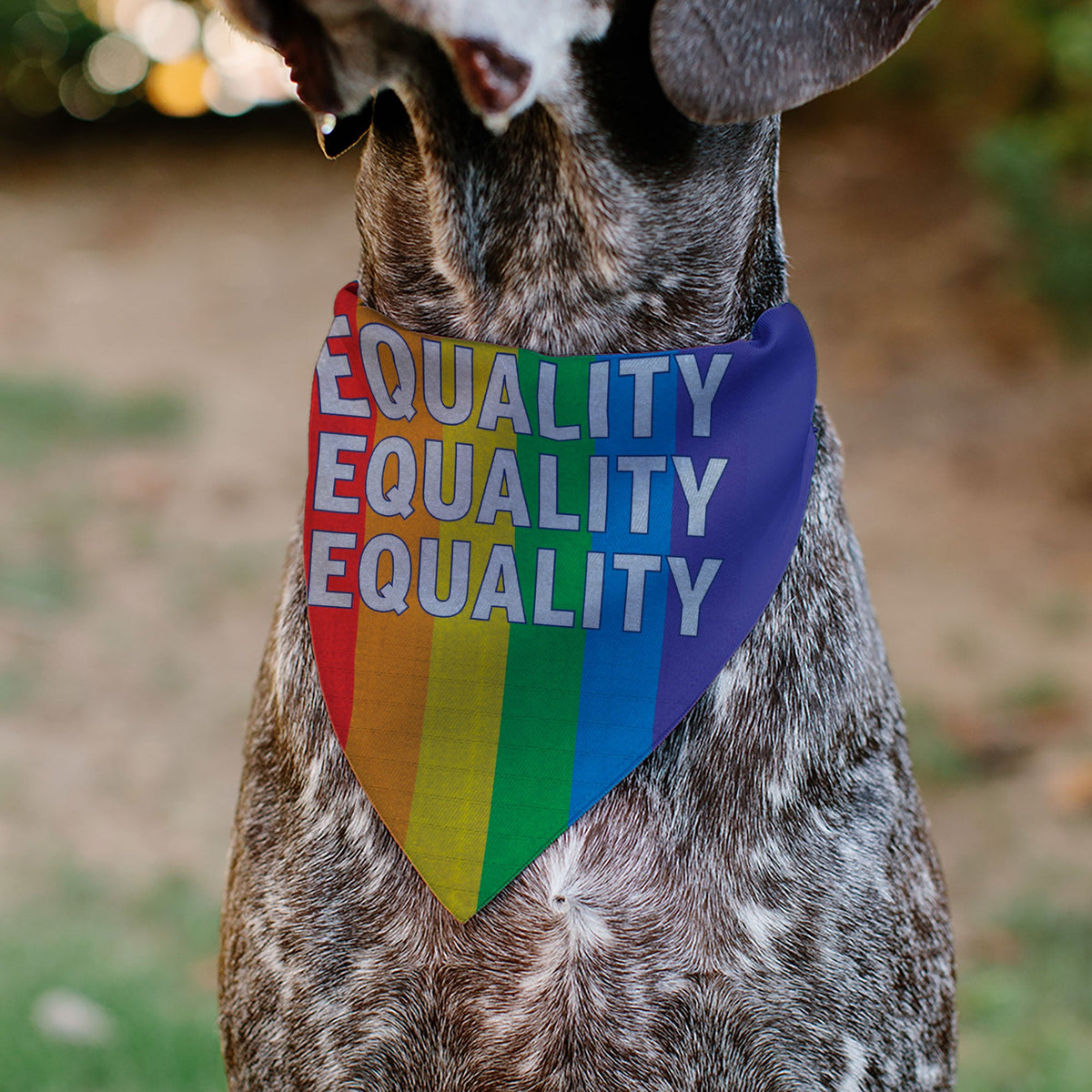 Pet Bandana - EQUALITY Blocks Rainbow/Blue/White