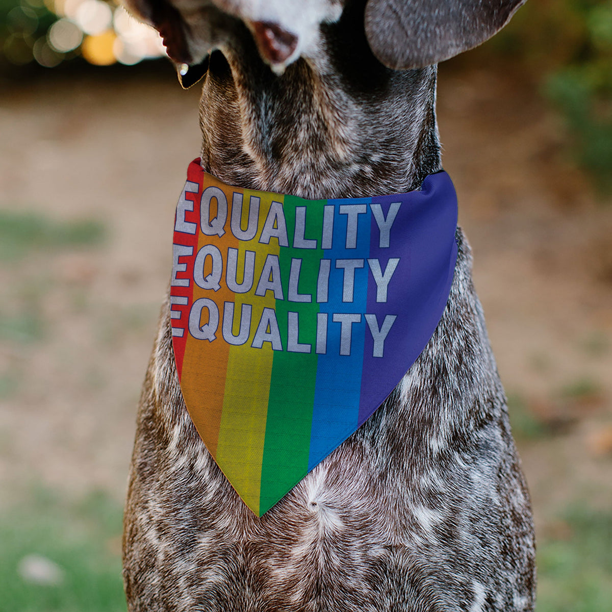 Pet Bandana - EQUALITY Blocks Rainbow/Blue/White