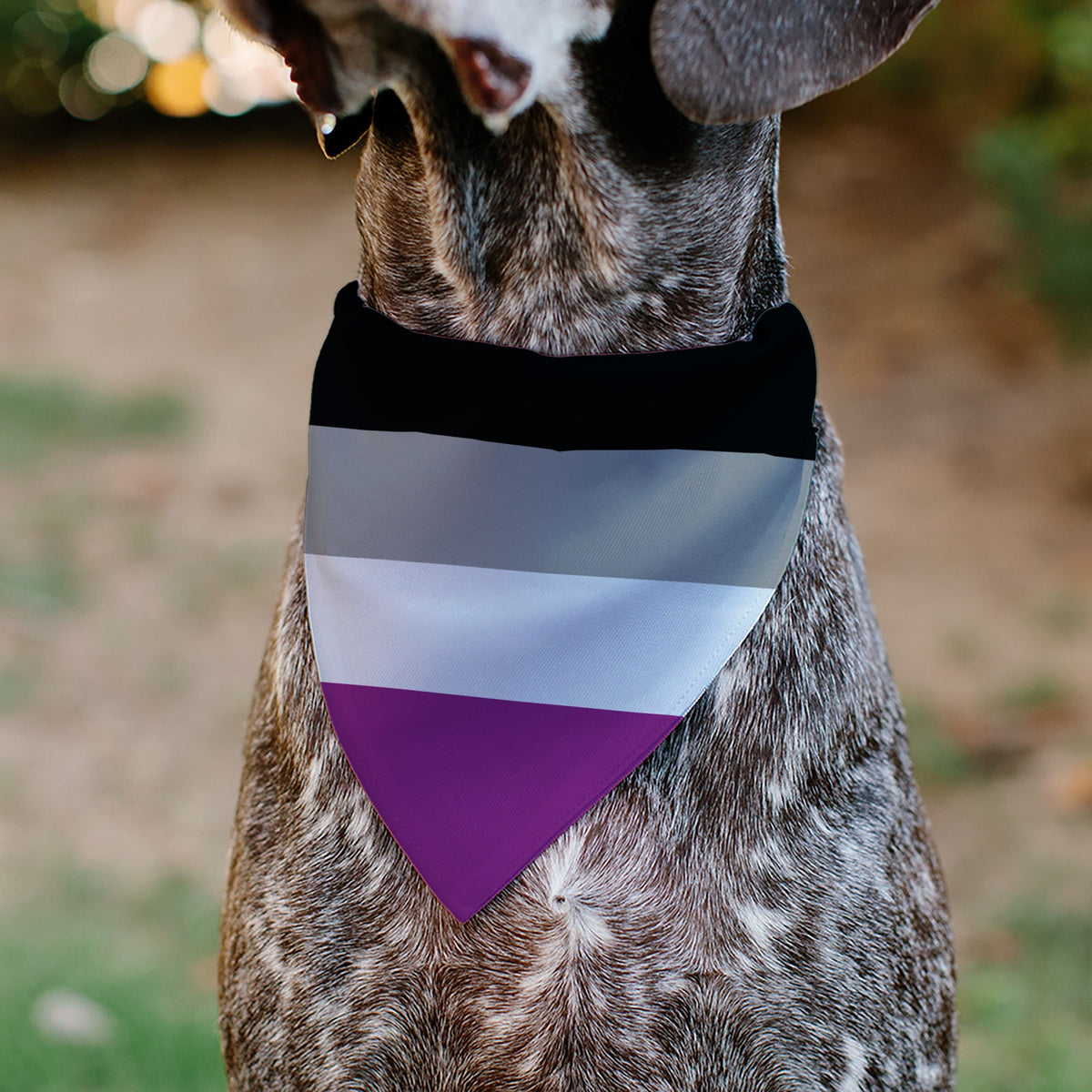 Pet Bandana - Flag Asexual Black/Gray/White/Purple