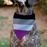 Pet Bandana - Flag Asexual Black/Gray/White/Purple