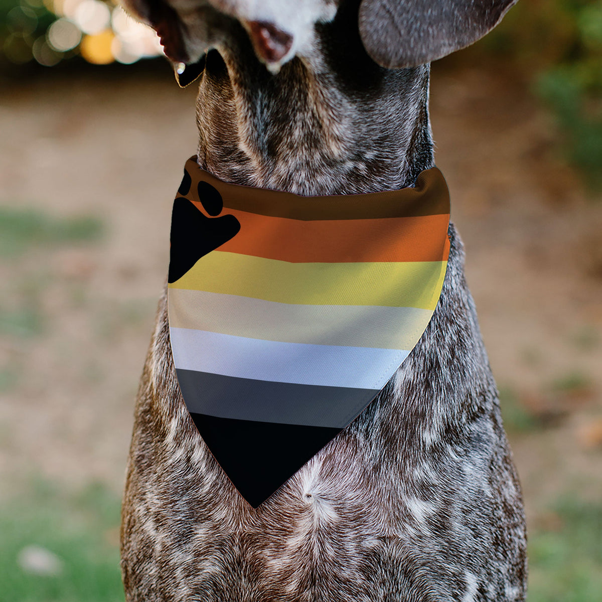Pet Bandana - Flag Bear Pride2 Black/Brown/Orange/Yellow/Tan/White/Gray/Black