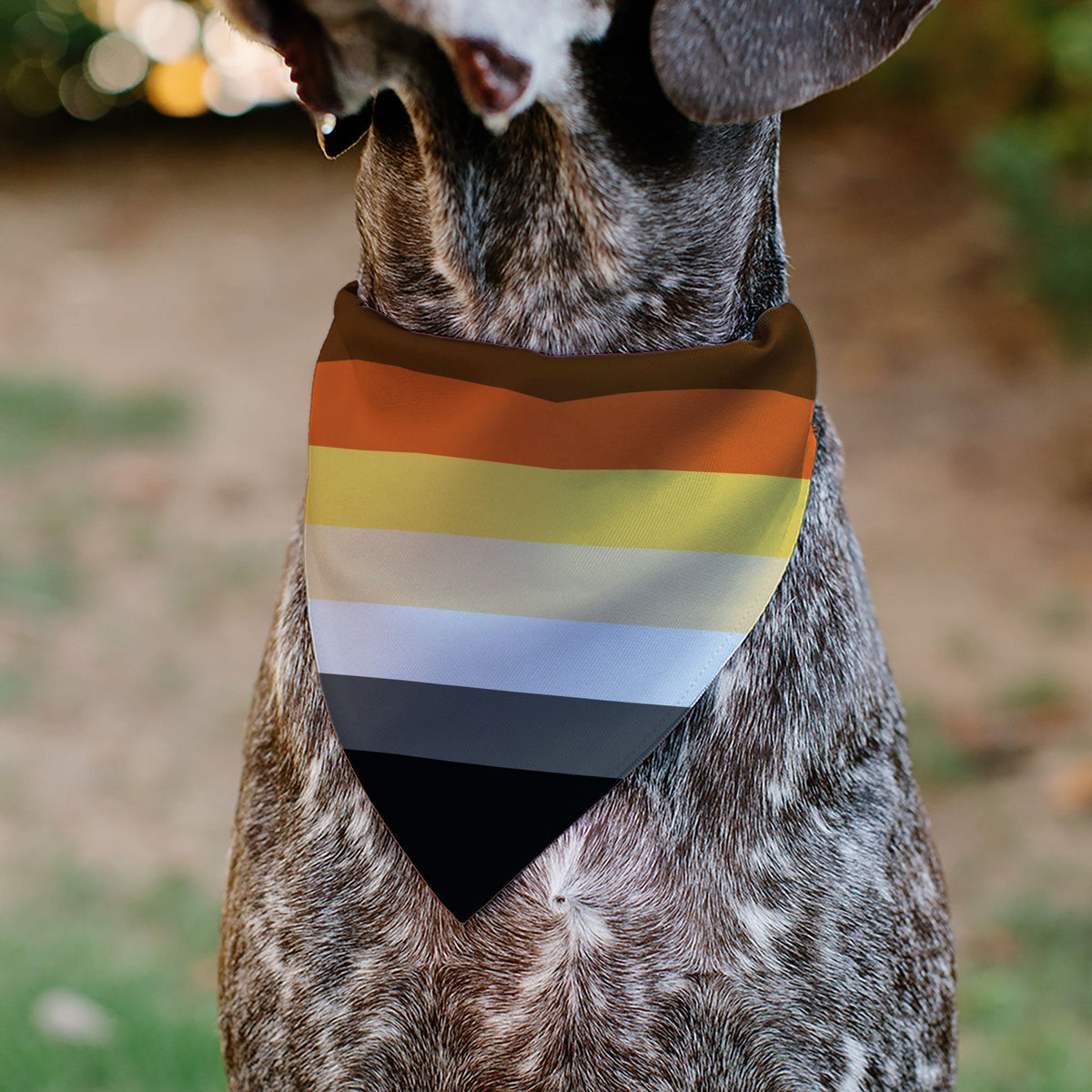 Pet Bandana - Flag Bear Pride2 Black/Brown/Orange/Yellow/Tan/White/Gray/Black
