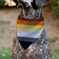 Pet Bandana - Flag Bear Pride2 Black/Brown/Orange/Yellow/Tan/White/Gray/Black