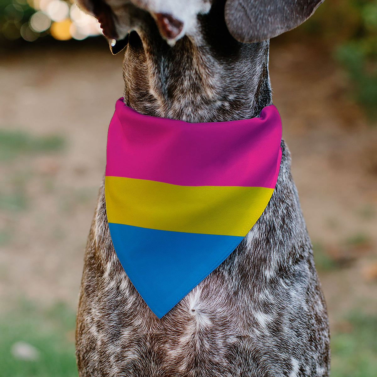 Pet Bandana - Flag Pansexual Pink/Yellow/Blue