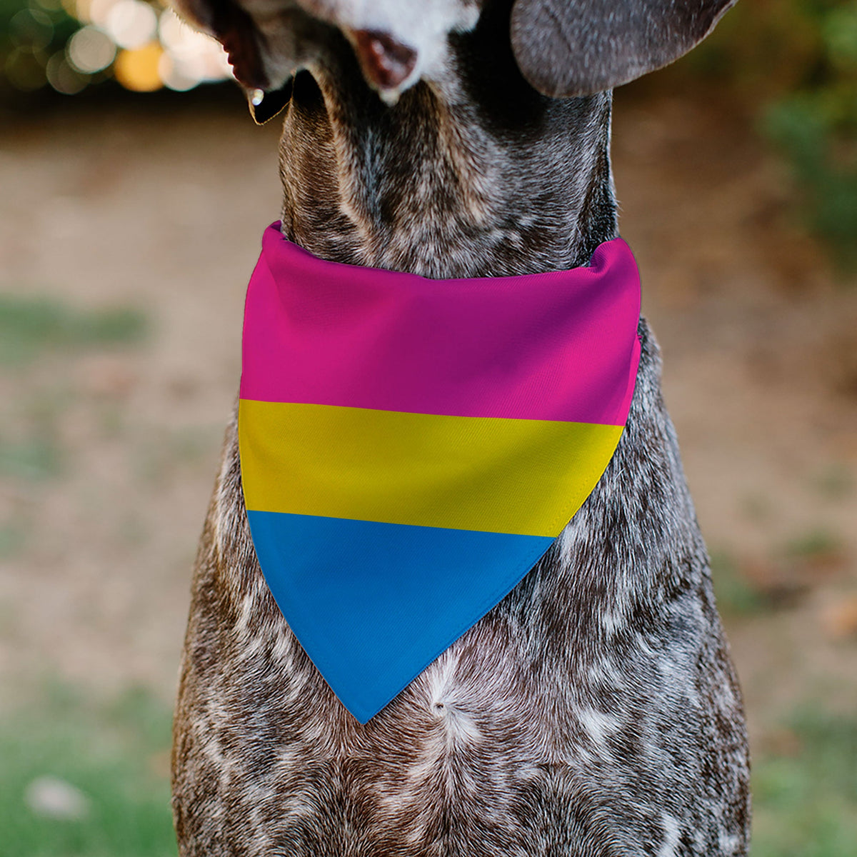 Pet Bandana - Flag Pansexual Pink/Yellow/Blue
