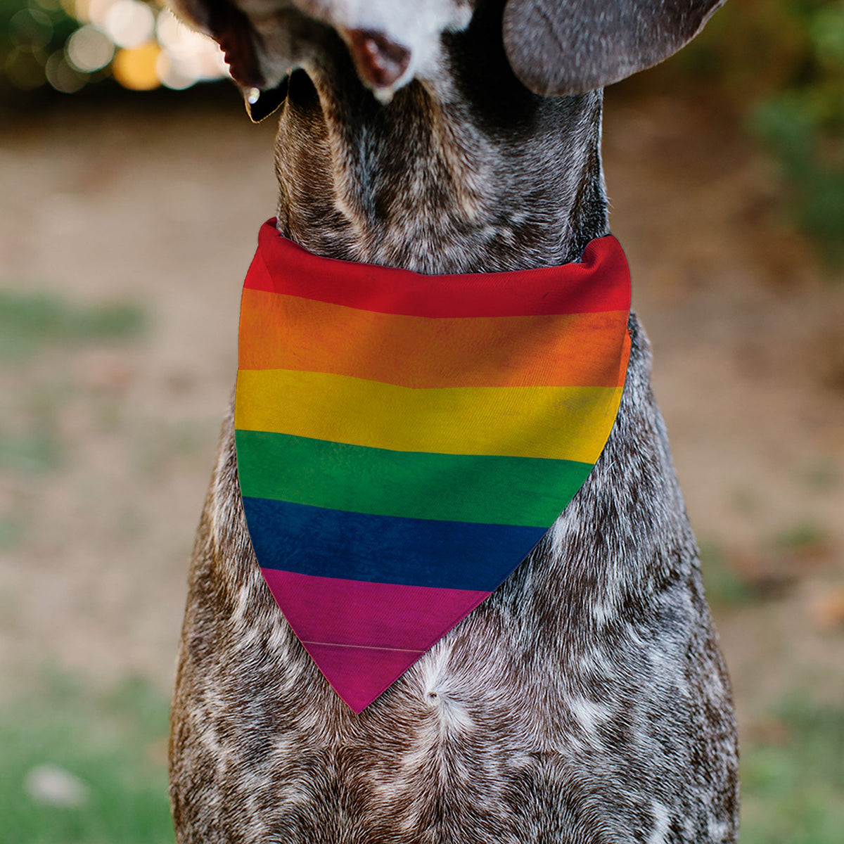 Pet Bandana - Flag Pride Distressed Rainbow