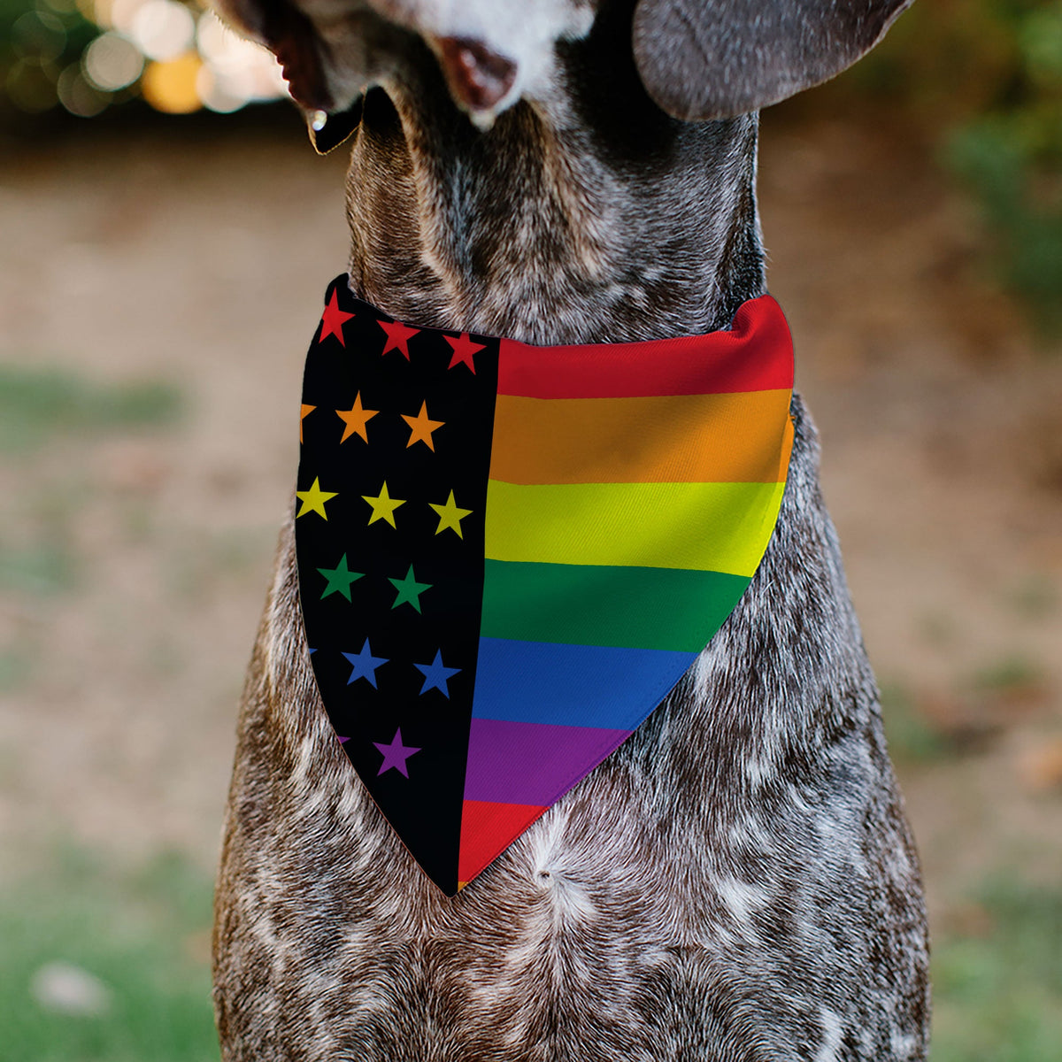 Pet Bandana - Flag American Pride Rainbow/Black