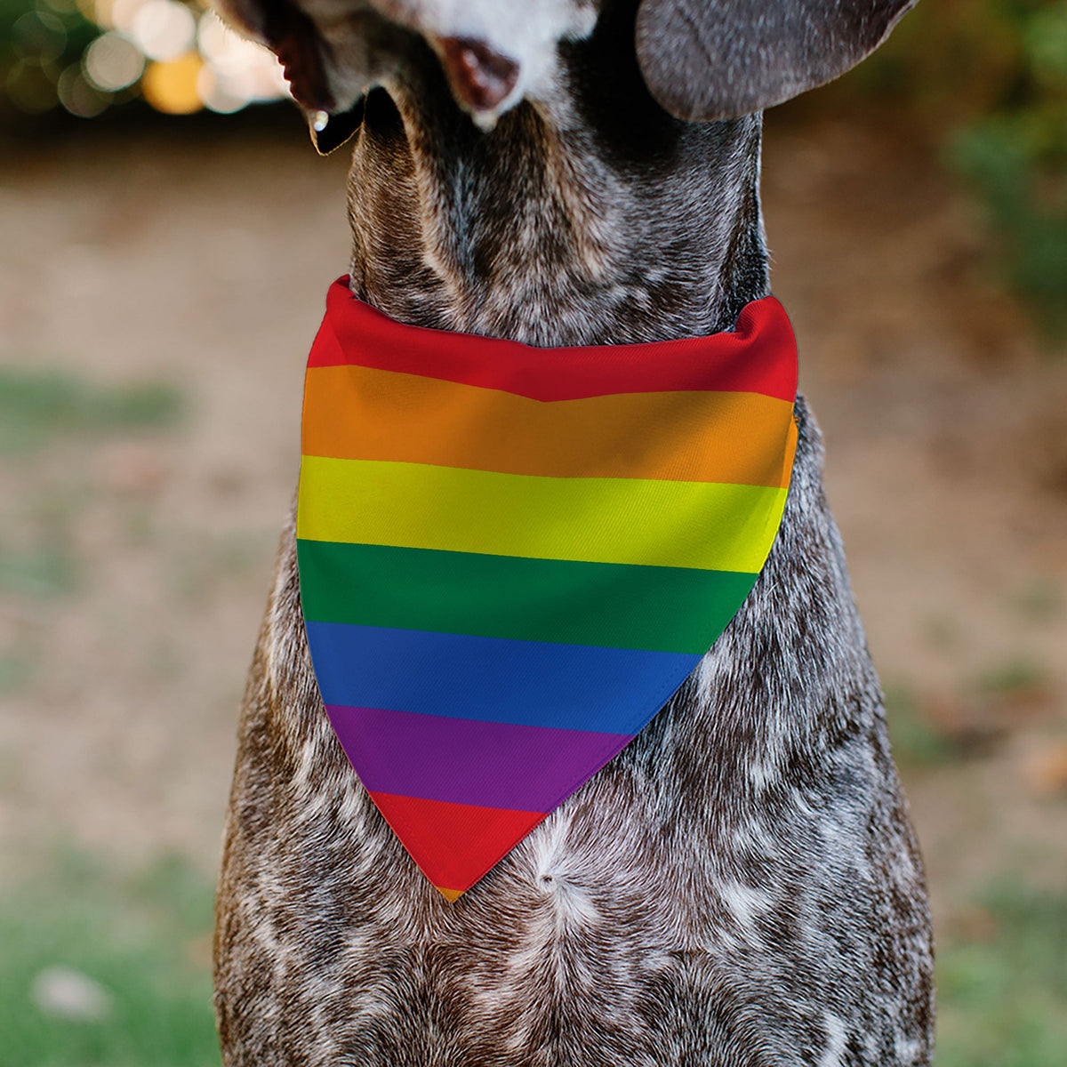 Pet Bandana - Flag American Pride Rainbow/Black