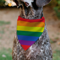 Pet Bandana - Flag American Pride Rainbow/Black