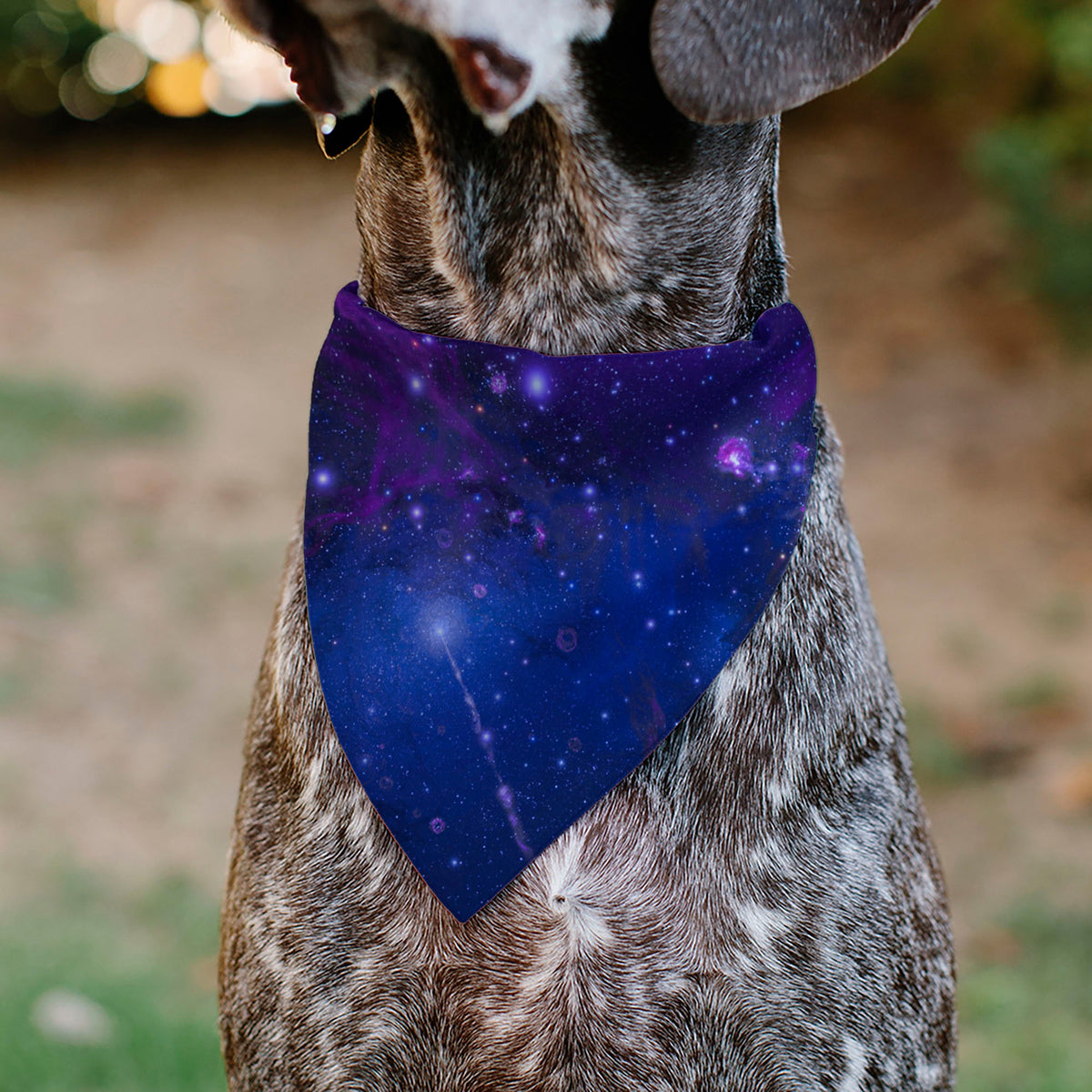Pet Bandana - Galaxy Blues/Purples