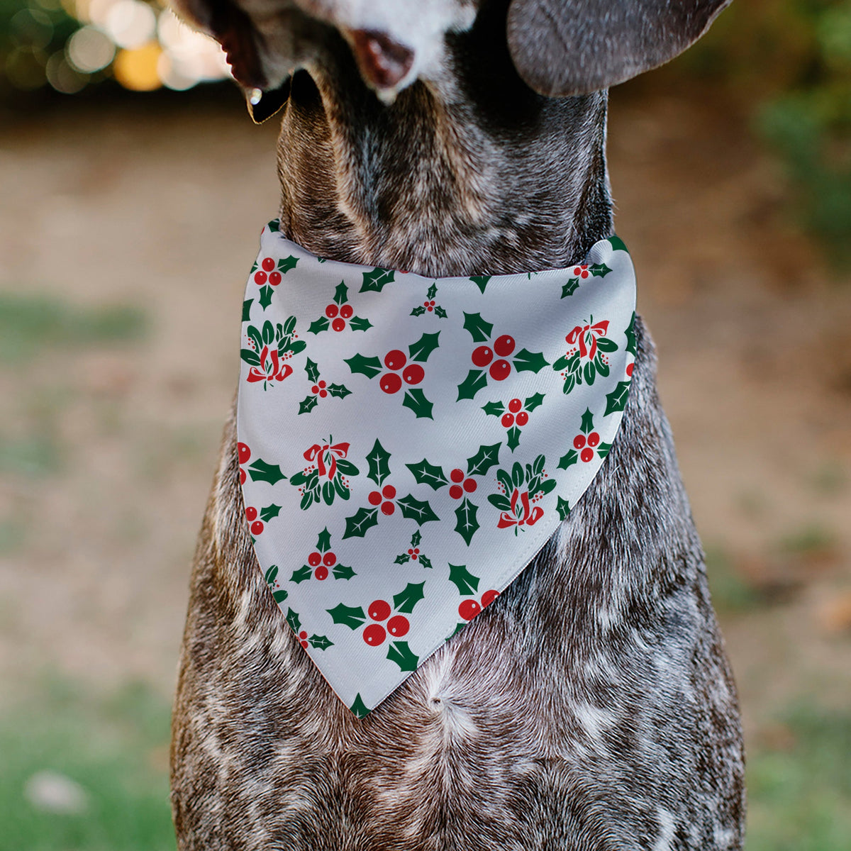 Pet Bandana - Holly & Mistletoe