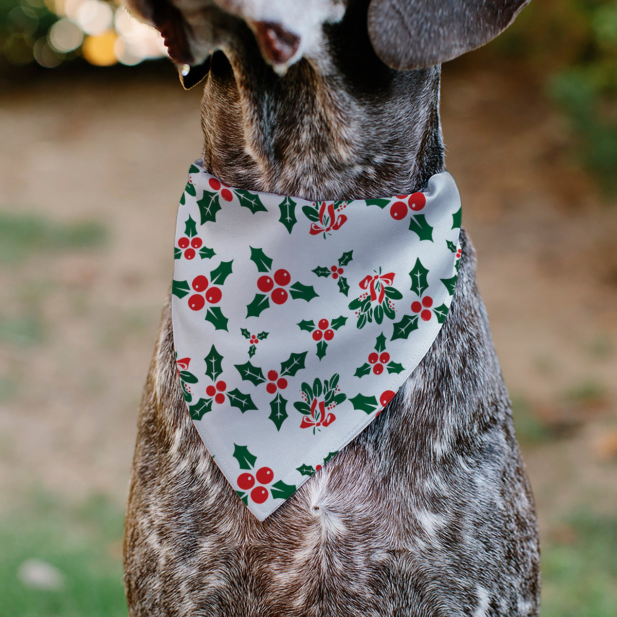 Pet Bandana - Holly & Mistletoe