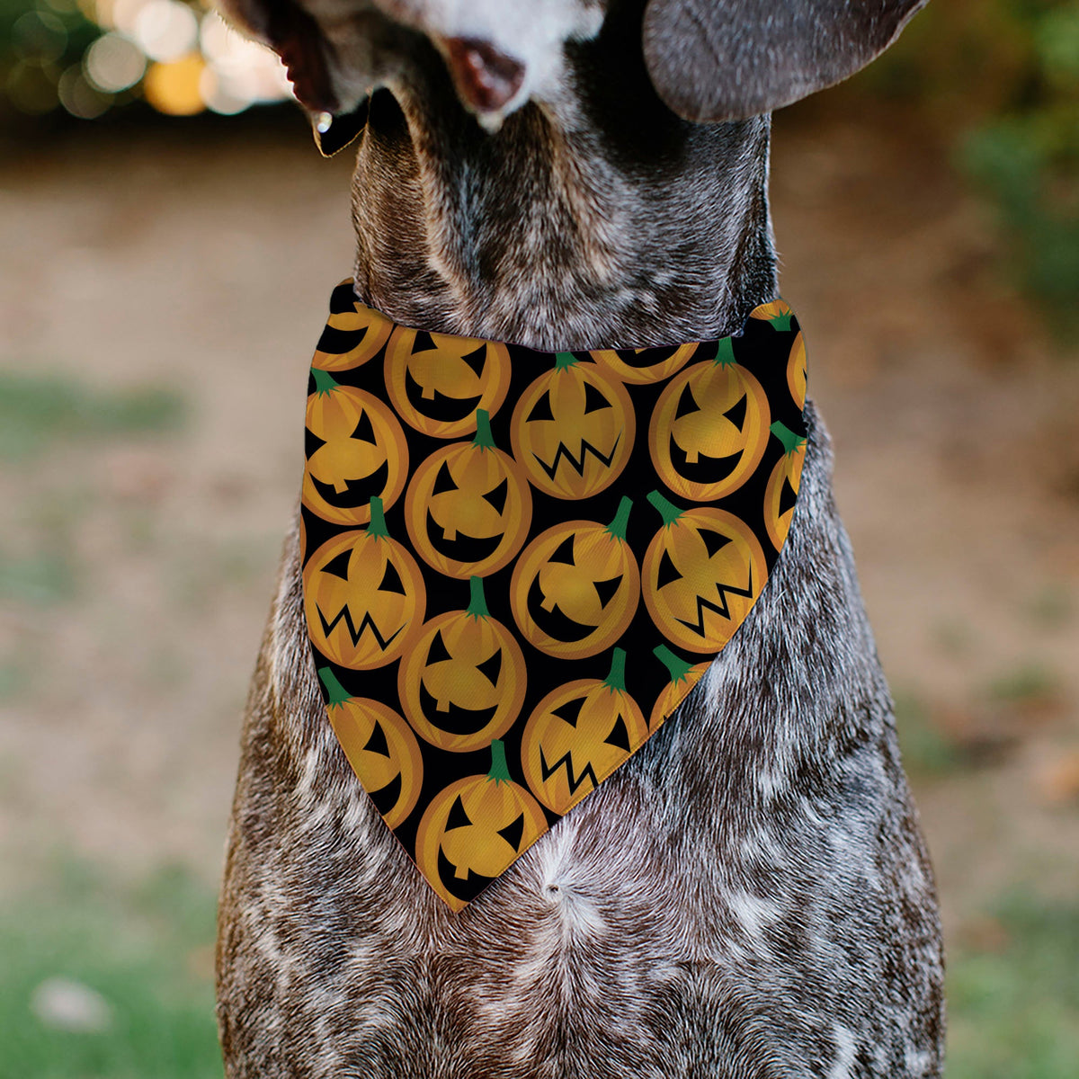 Pet Bandana - Jack-o'-Lantern Collage Black