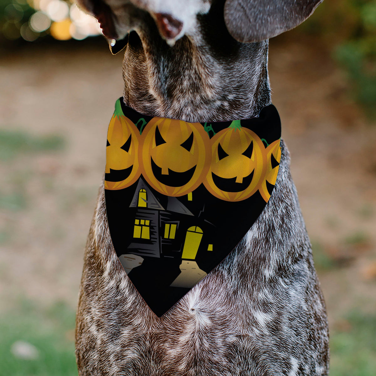 Pet Bandana - Jack-o'-Lanterns/Haunted House Black/Yellow