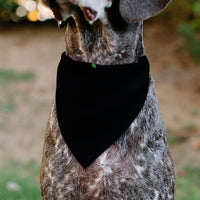 Pet Bandana - Jack-o'-Lanterns/Haunted House Black/Yellow