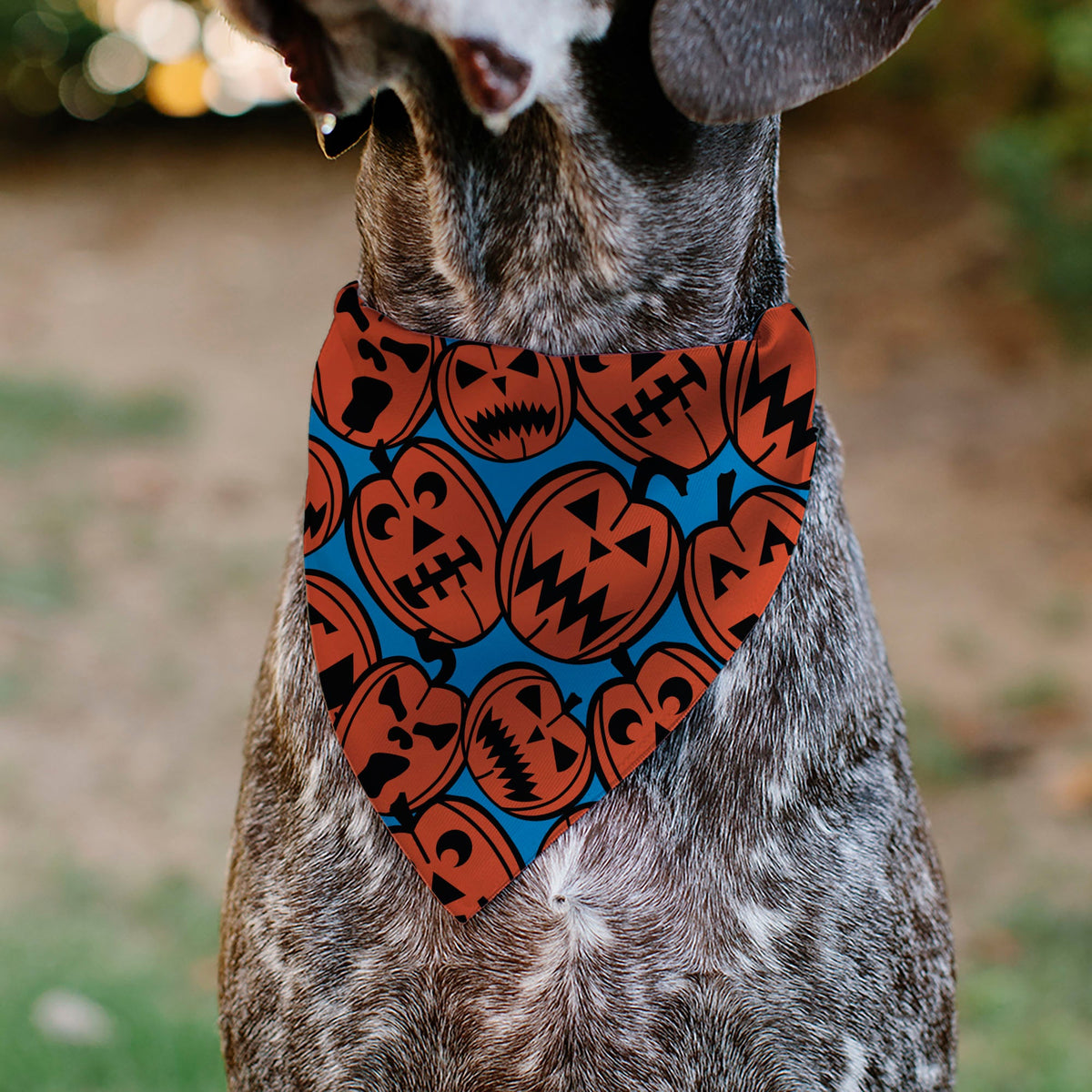 Pet Bandana - Jack-o'-Lanterns Blue