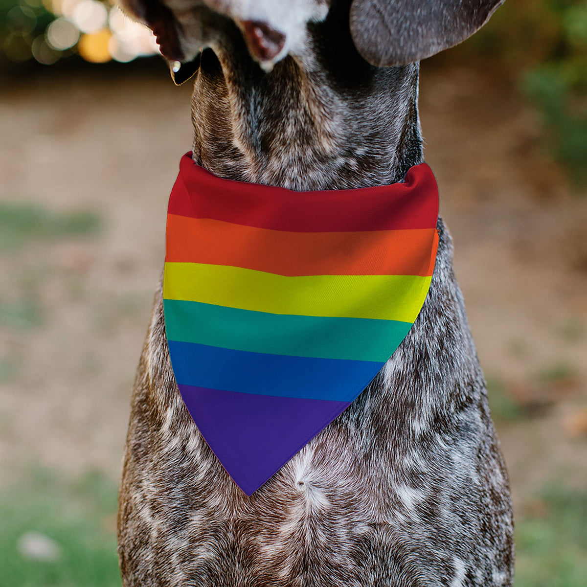 Pet Bandana - Rainbow Print