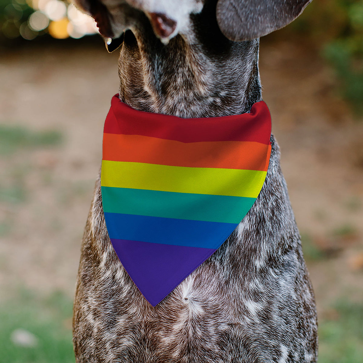 Pet Bandana - Rainbow Print