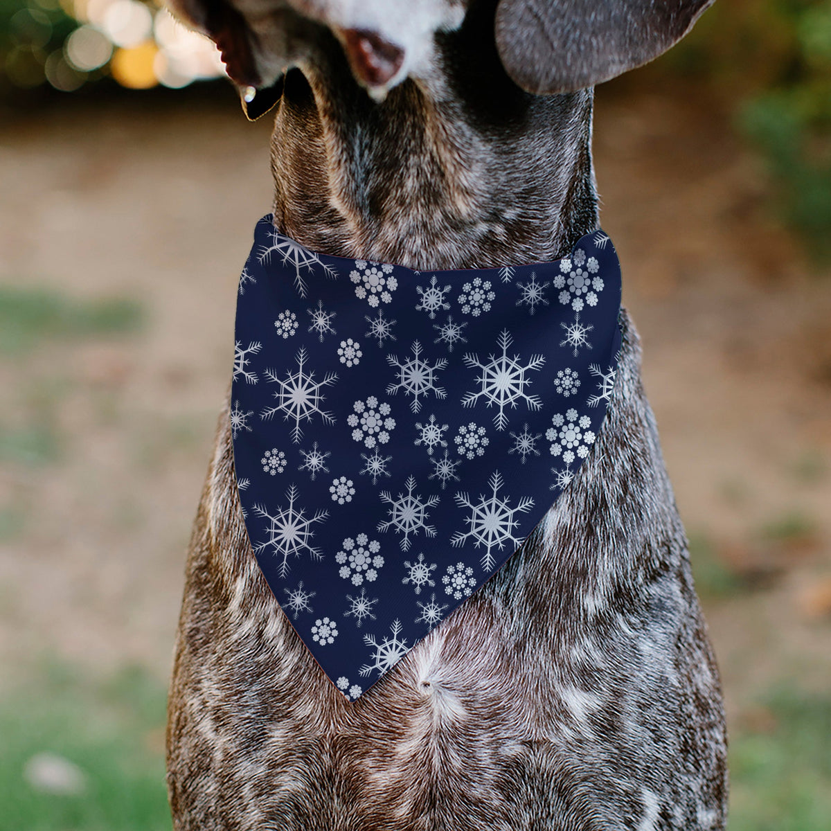 Pet Bandana - Snowflakes Blue/White