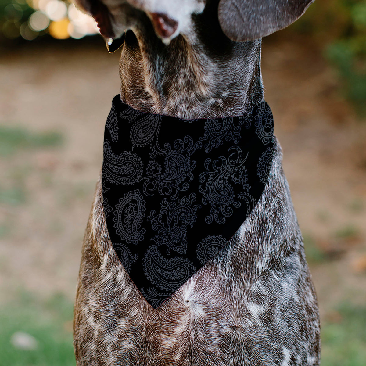 Pet Bandana - Bandana Black/Gray