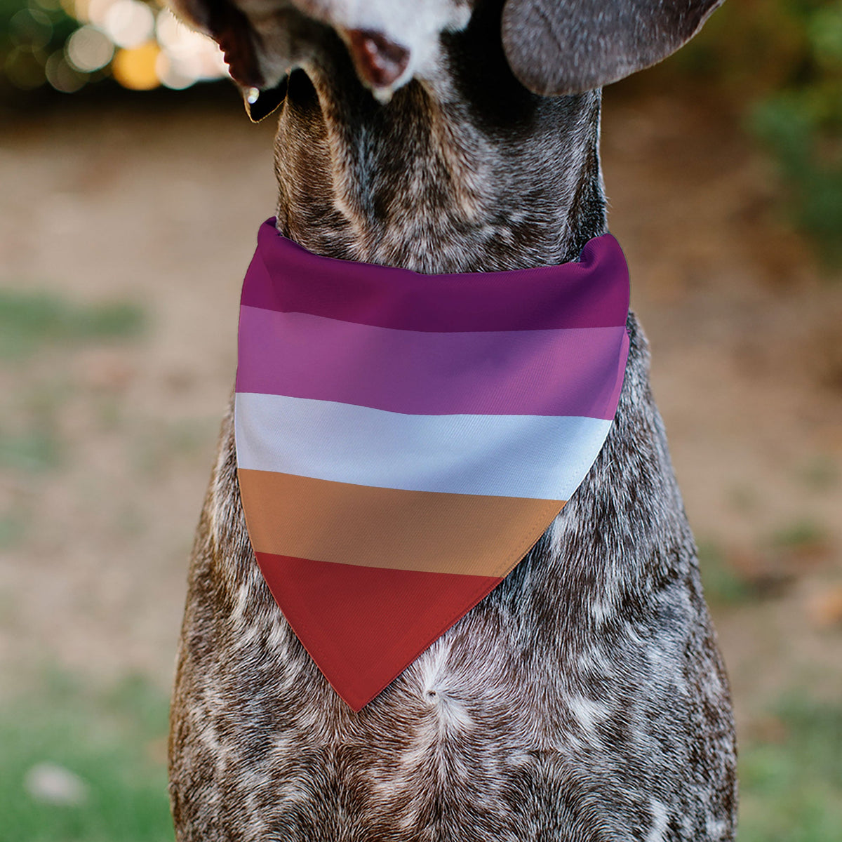 Pet Bandana - Flag Lesbian Five Stripe Oranges/White/Pinks