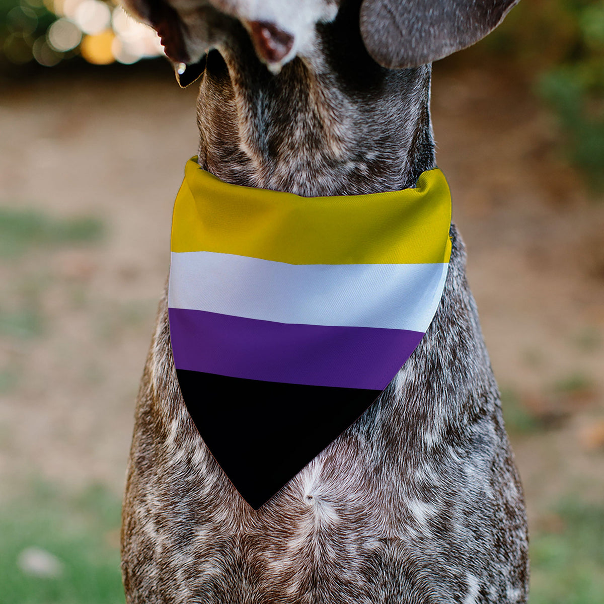 Pet Bandana - Flag Non-Binary Stripe