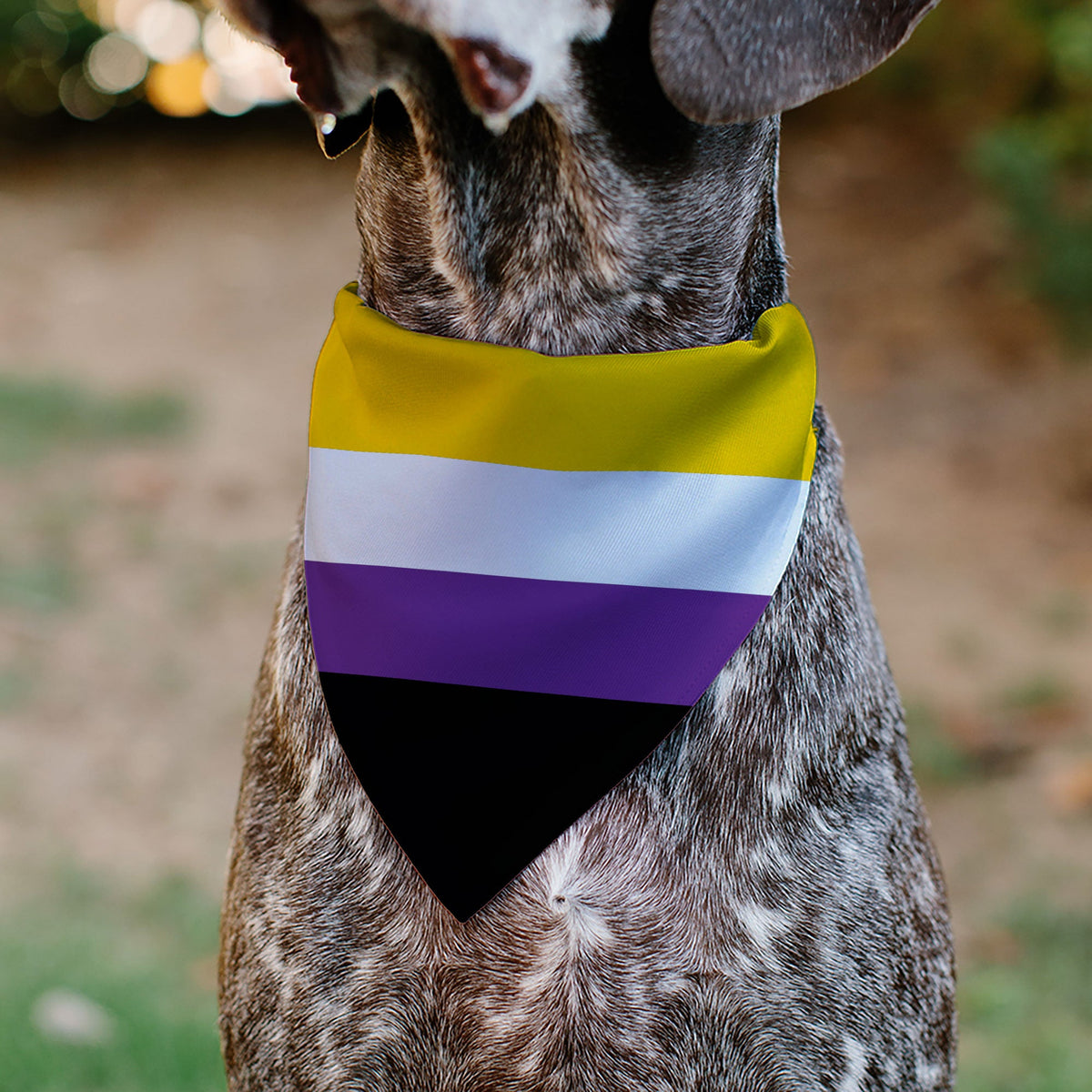 Pet Bandana - Flag Non-Binary Stripe