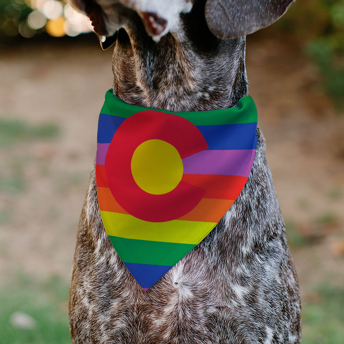 Pet Bandana - Colorado Flags2 Pride