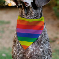 Pet Bandana - Colorado Flags2 Pride