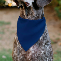 Pet Bandana - Colorado VAIL Flag Blue/White/Red/Yellow