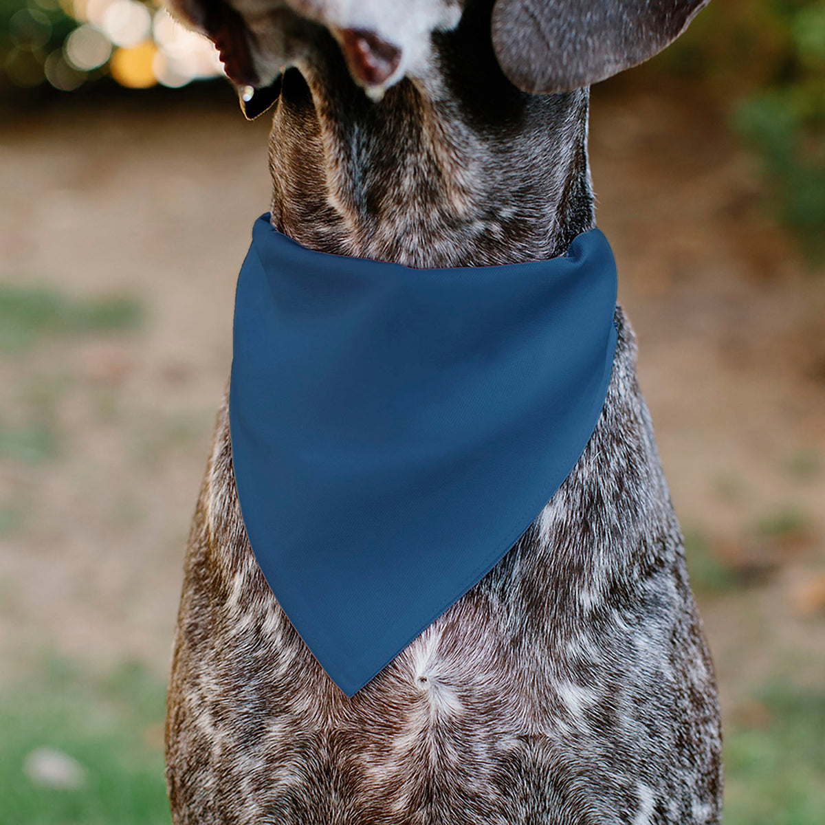 Pet Bandana - ADOPT ME Text and Paw Black/Lavender/Ivory