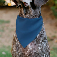 Pet Bandana - ADOPT ME Text and Paw Black/Lavender/Ivory