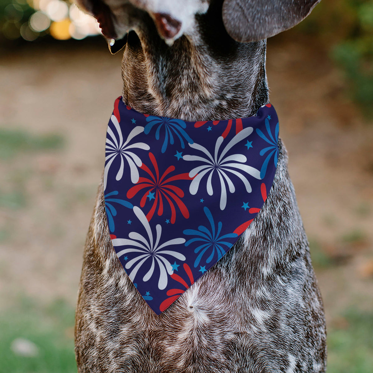Pet Bandana - Americana Fireworks Show Blues/Red/White