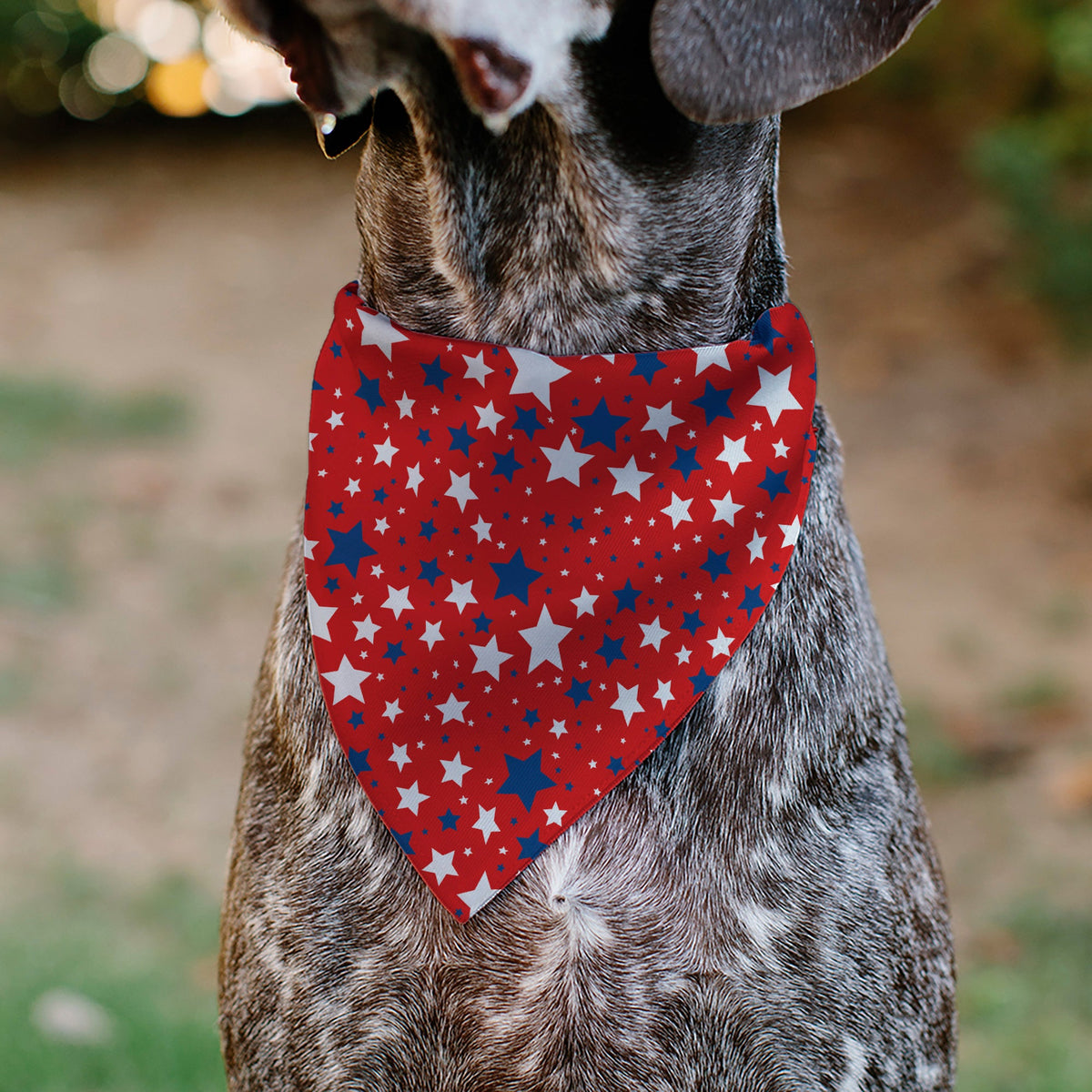 Pet Bandana - Americana Stars Scattered Red/White/Blue