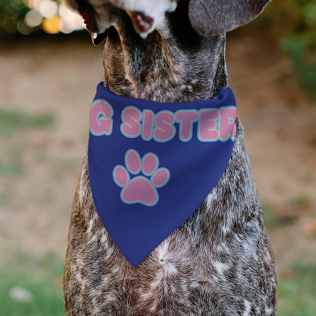 Pet Bandana - BIG SISTER Text and Paw Blues/Lavender