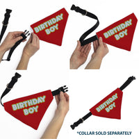 Pet Bandana - BIRTHDAY BOY Text Red/Yellow/Blue/White
