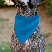Pet Bandana - BIRTHDAY BOY Text Blue/Yellow/White