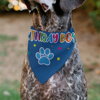 Pet Bandana - BIRTHDAY BOY Text Paw and Confetti Blue/Multi Color