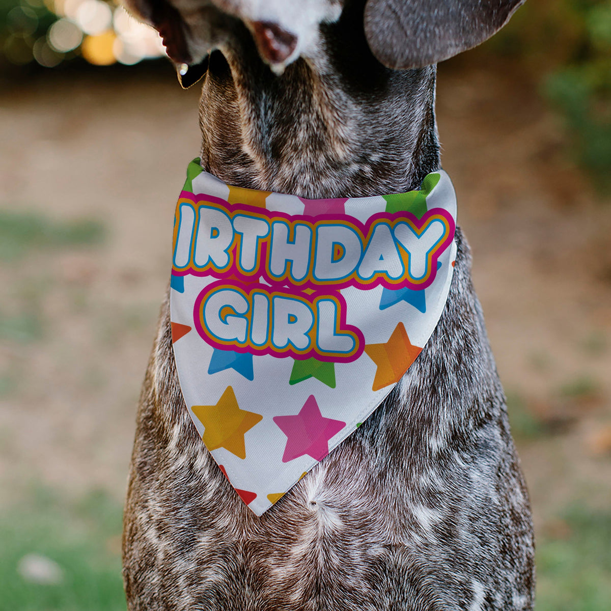 Pet Bandana - BIRTHDAY GIRL Text and Stars White/Multi Color