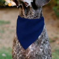 Pet Bandana - Colorado Flag Centered