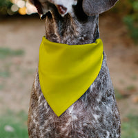 Pet Bandana - DO NOT PET Warning Yellows/Black